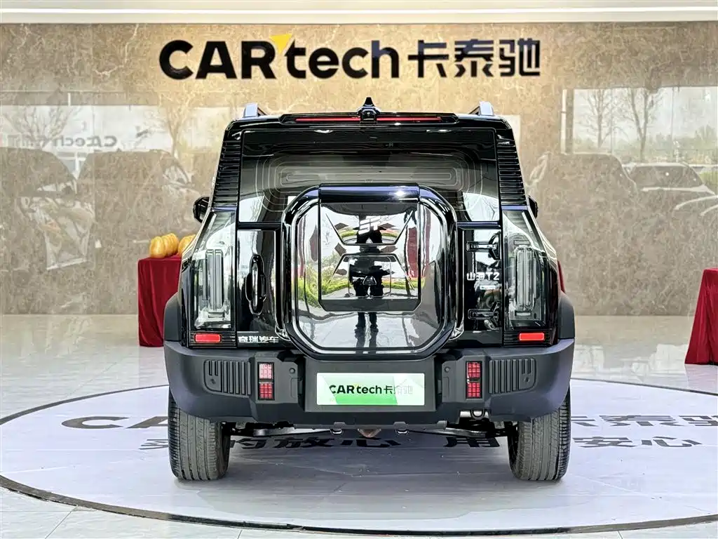 Shanhai Traveller C-DM 2025 — фото 6