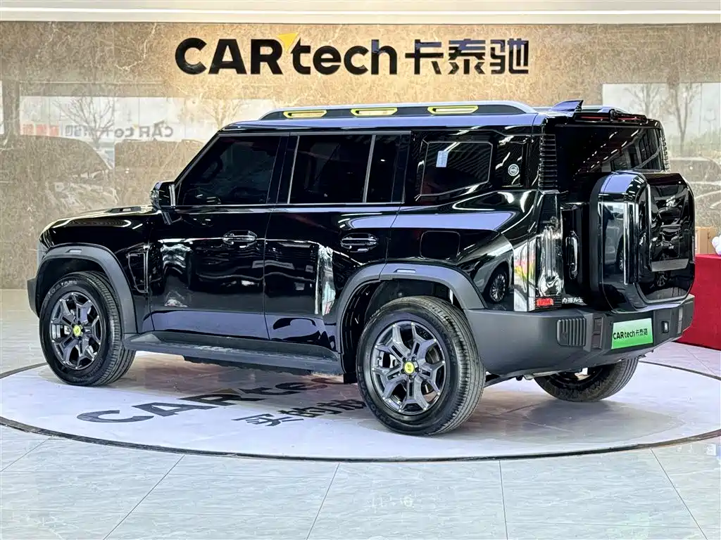 Shanhai Traveller C-DM 2025 — фото 7