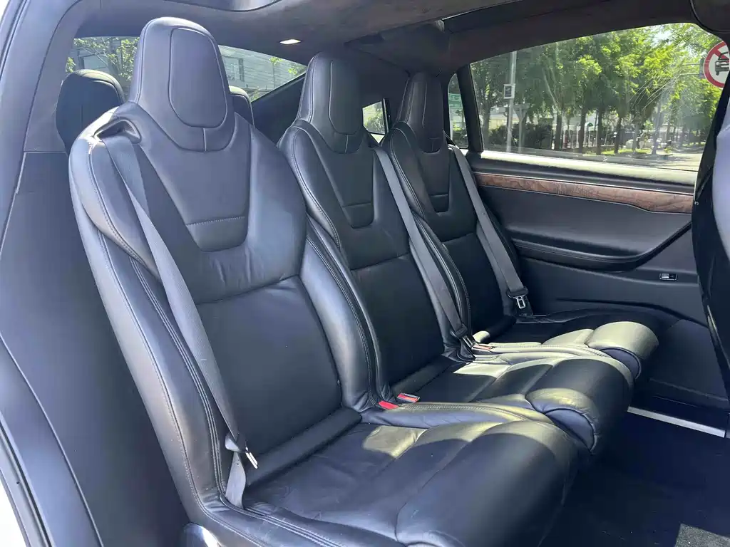 Tesla Model X 2017 — фото 19