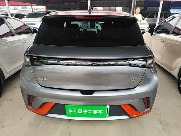 BYD Dolphin 2022