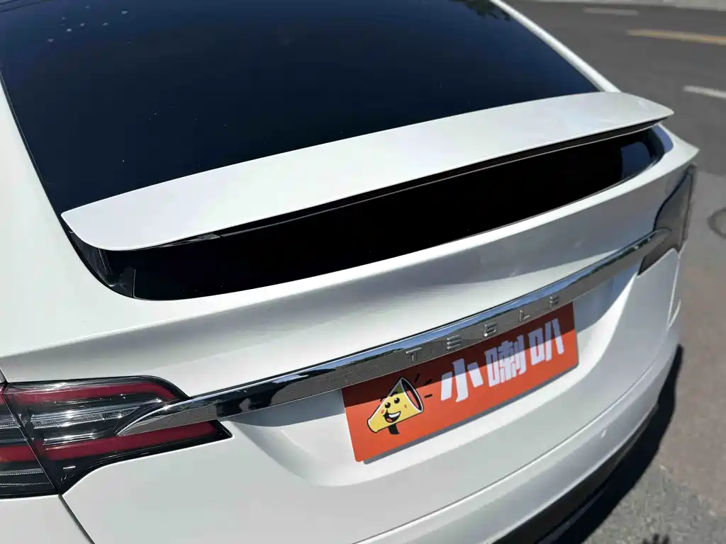 Tesla Model X 2017 — фото 34