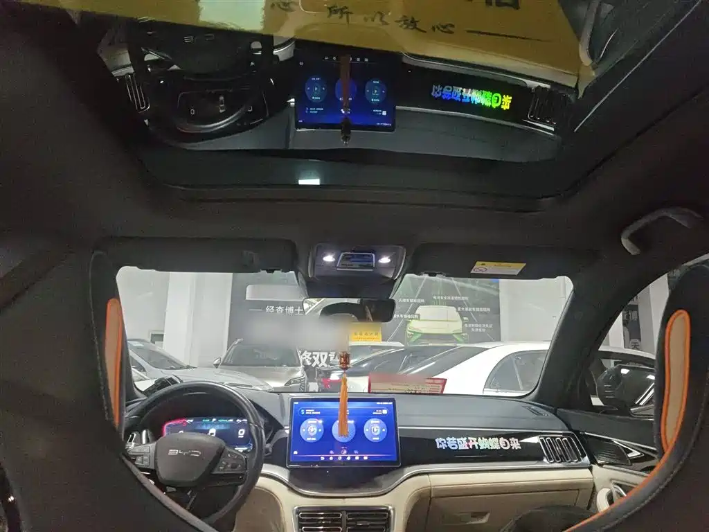 BYD PLUS New Energy 2023 — фото 14