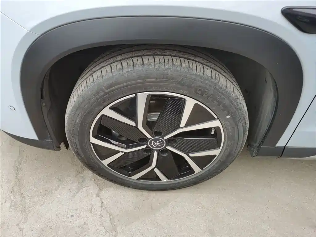 BYD L DM-i 2025 — фото 25