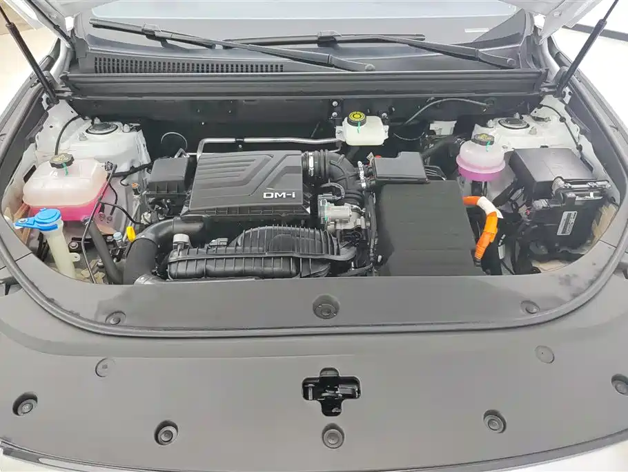 BYD Pro New Energy 2024 — фото 10
