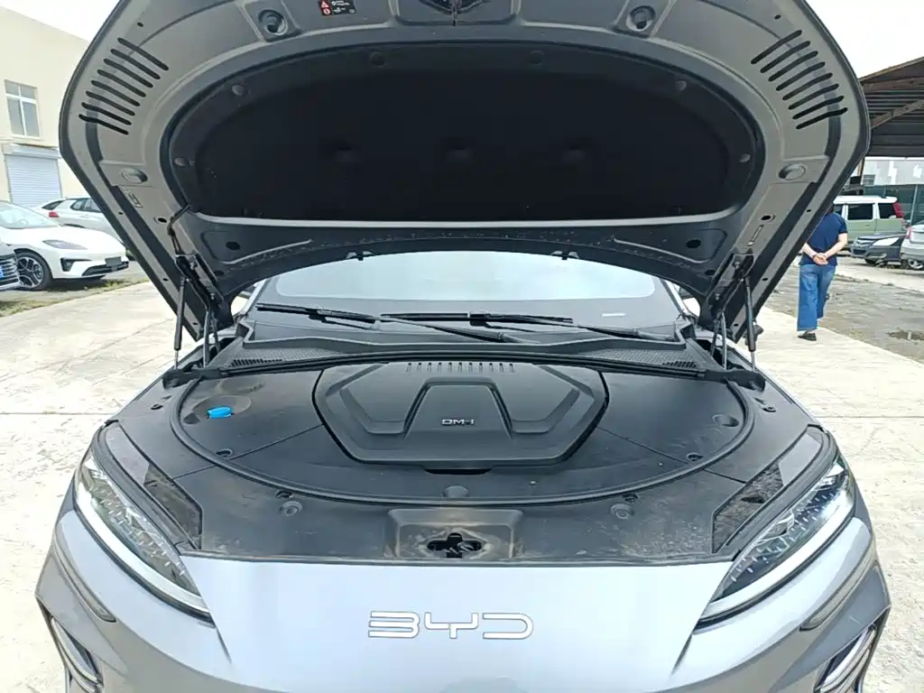 BYD Song PLUS New Energy 2024 — фото 20