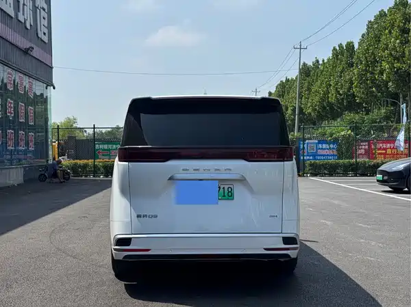 Denza D9 2024