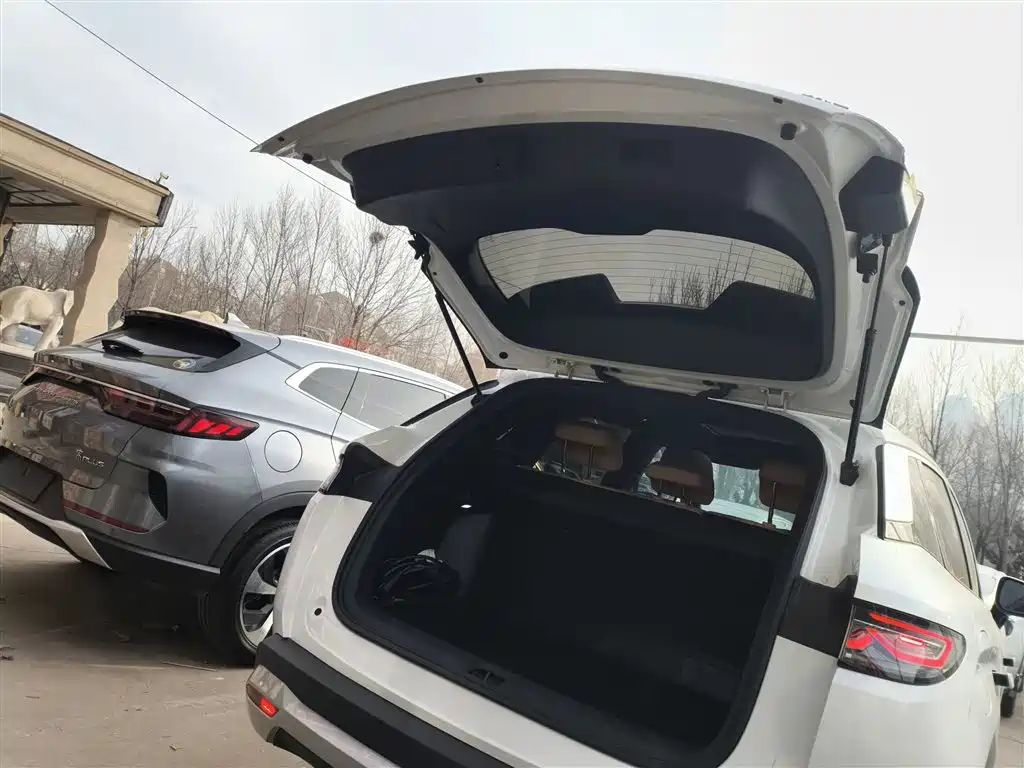 BYD L DM-i 2025 — фото 19