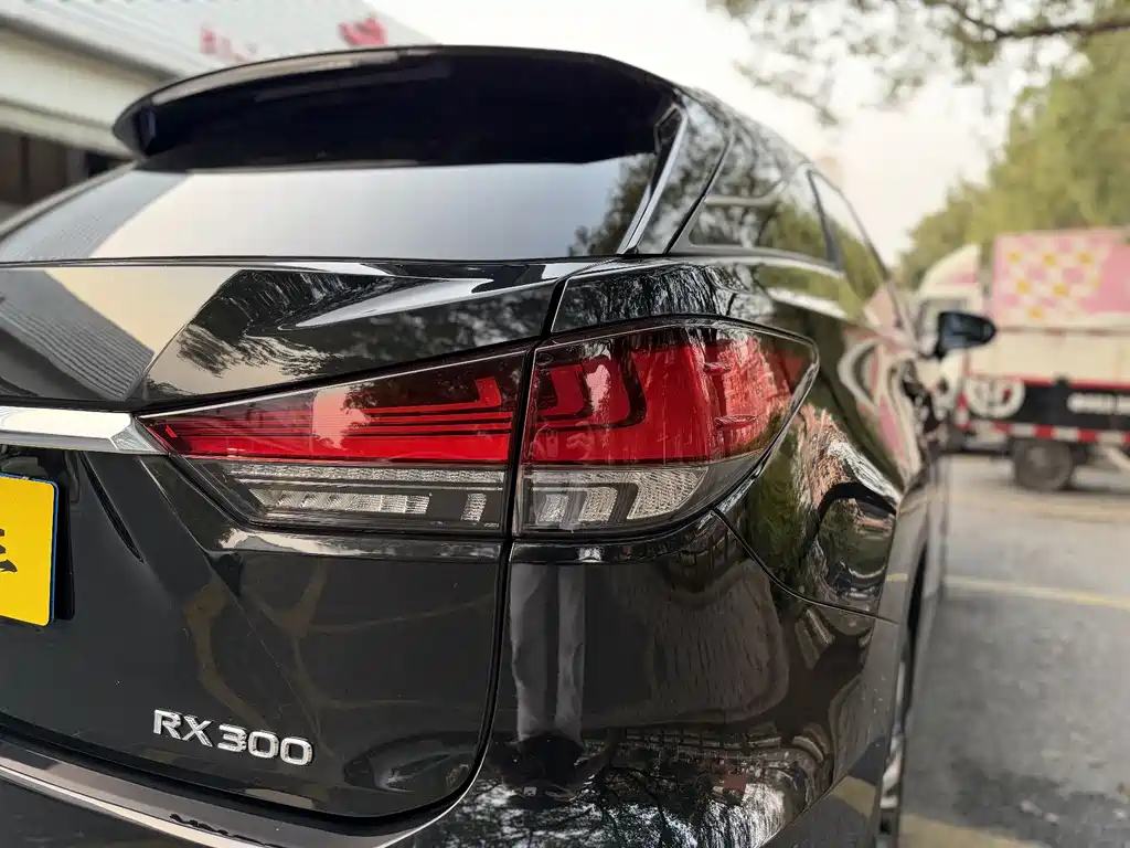 Lexus RX 2022 — фото 19