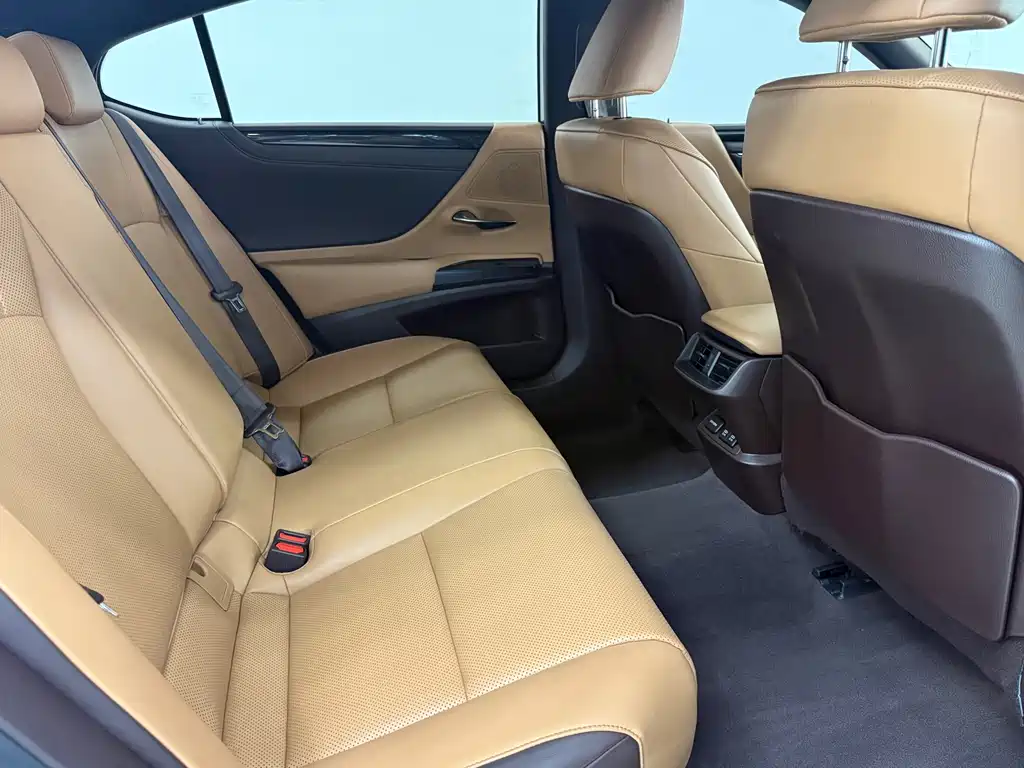 Lexus ES 2019 — фото 15