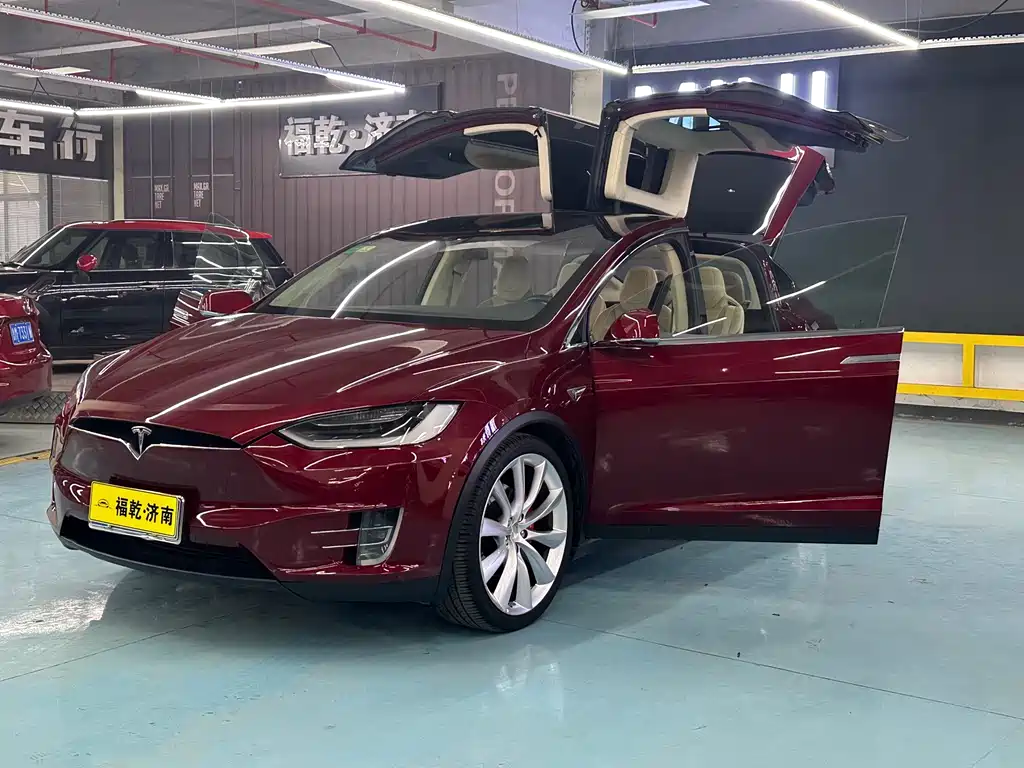 Tesla Model X 2016 — фото 11