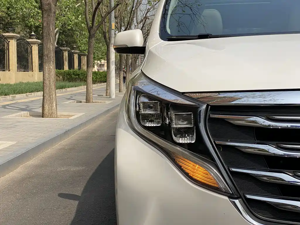 GAC Motor Trumpchi M8 2018 — фото 7