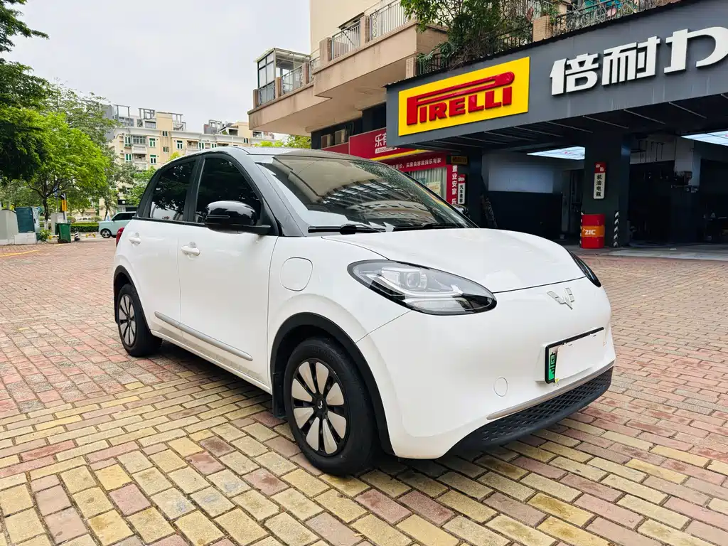 Wuling Bingo 2024
