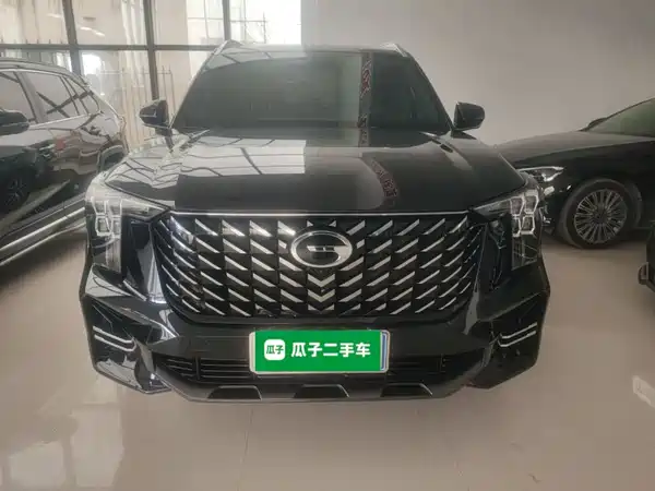 GAC Trumpchi GS8 2024
