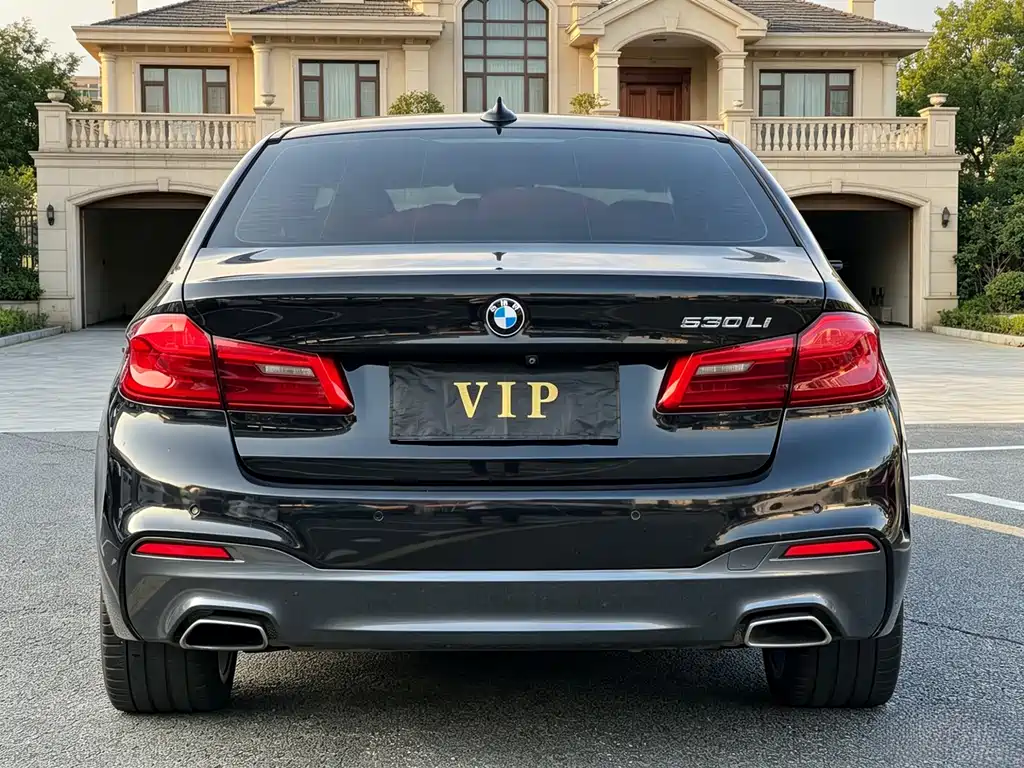 BMW 5 Series 2019 — фото 8