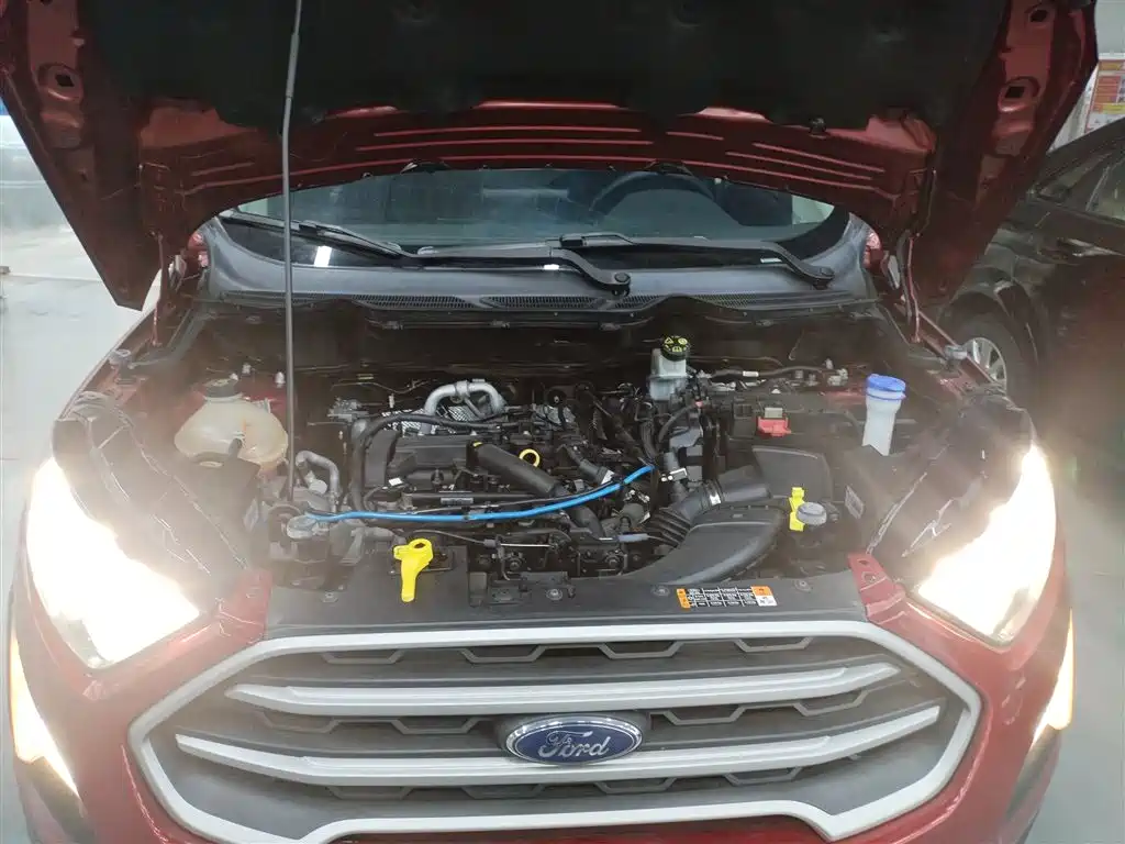 Ford Ecosport 2018 — фото 20