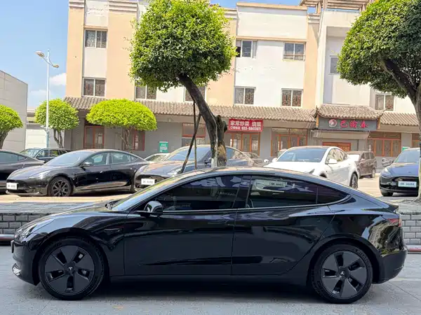 Tesla Model 3 2021