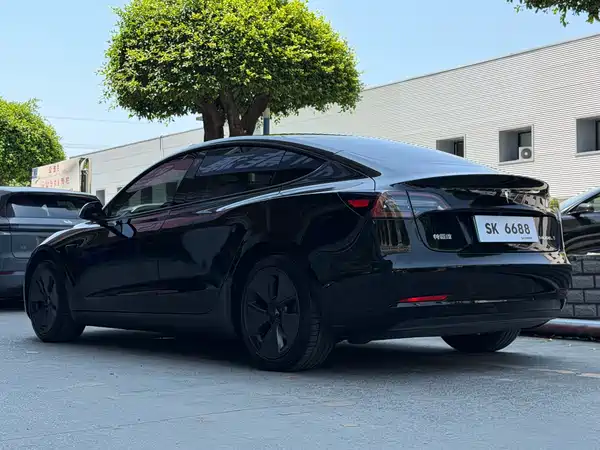 Tesla Model 3 2021