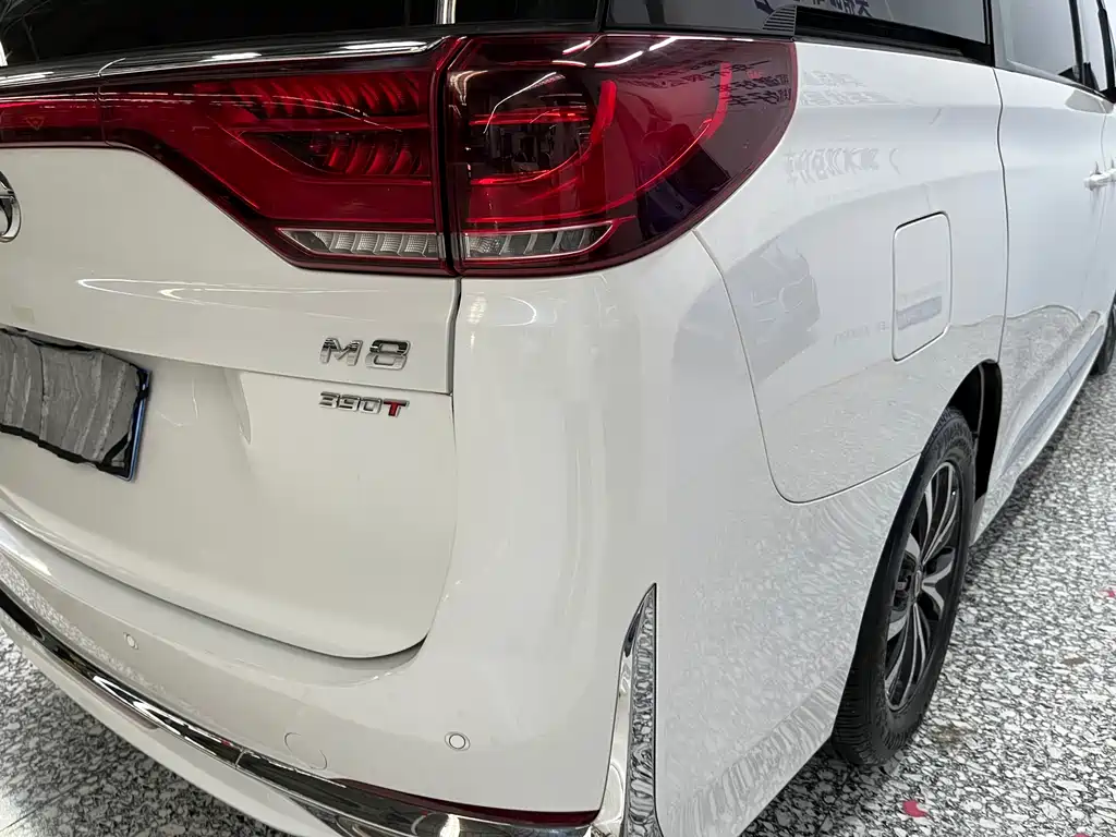 GAC Motor Trumpchi M8 2021 — фото 19