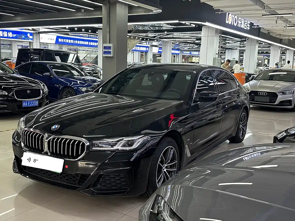 BMW 5 Series New Energy 2021 — фото 1