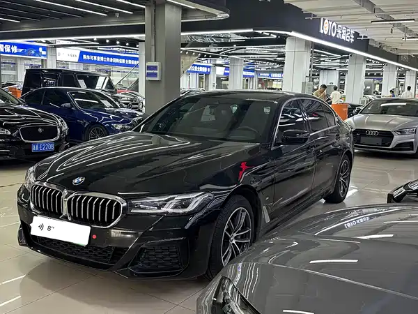 BMW 5 Series New Energy 2021