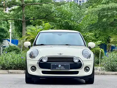 MINI MINI 2019