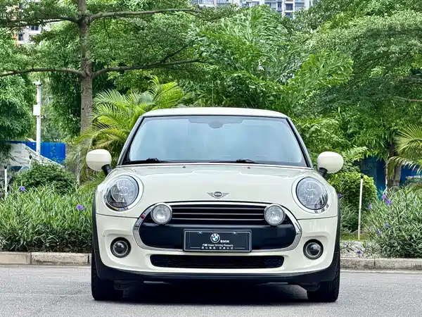 MINI MINI 2019