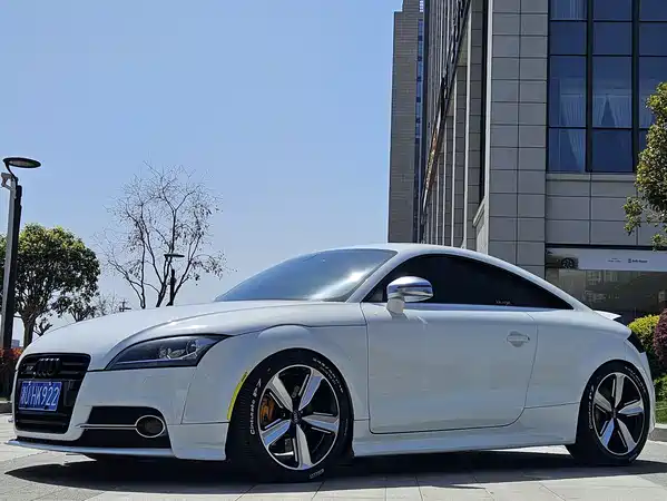 Audi TTS 2013