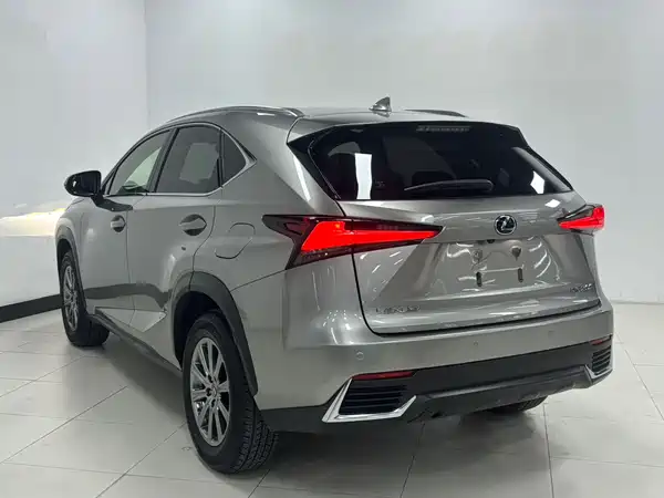 Lexus NX 2018