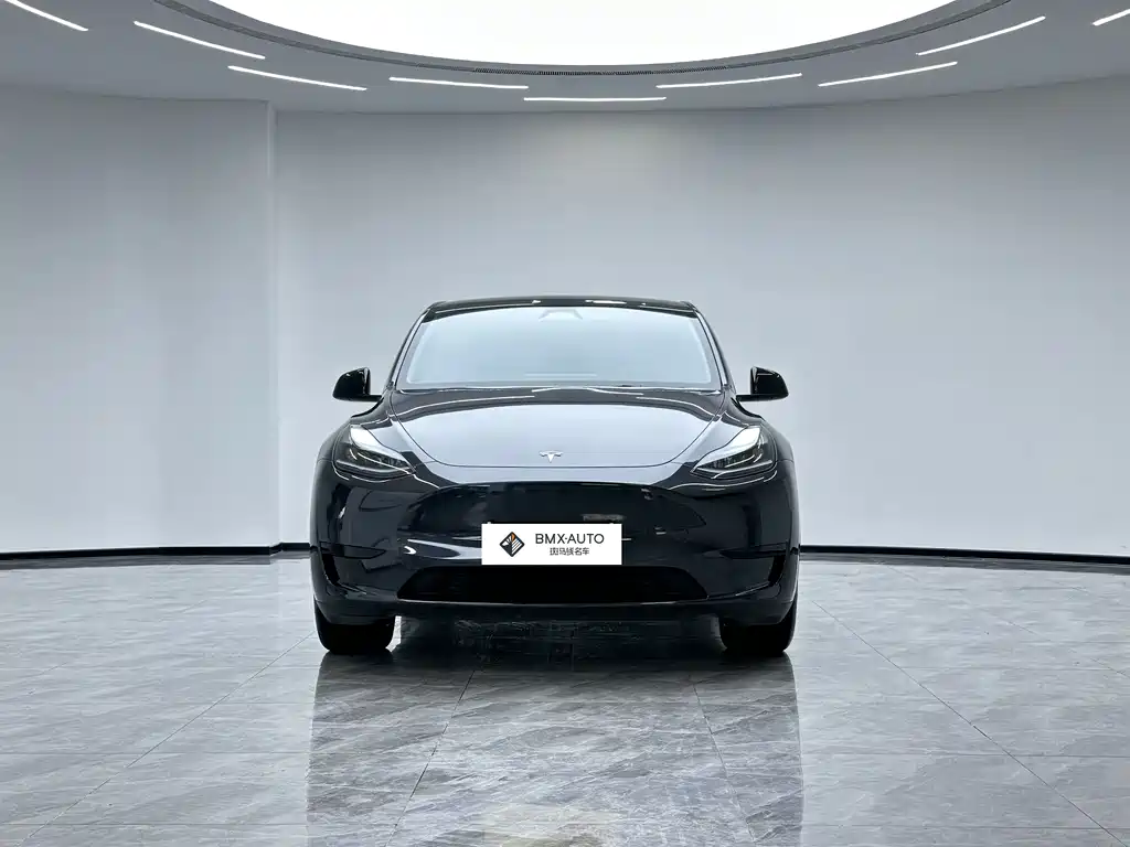 Tesla Model Y 2024 — фото 5