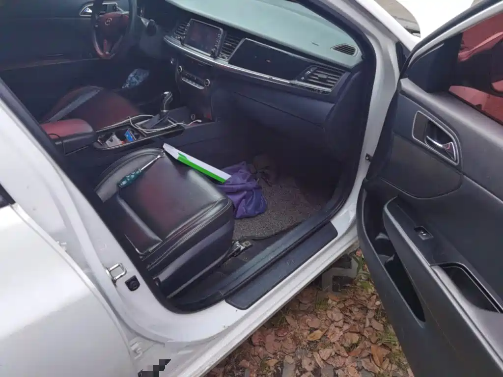 Hyundai Mistra 2017 — фото 19