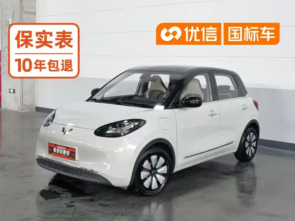 Wuling Bingo 2023