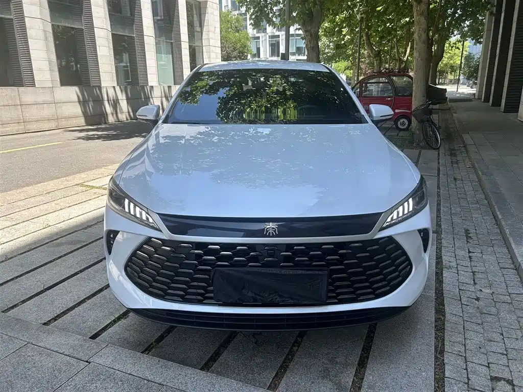 BYD Qin PLUS 2025 — фото 2
