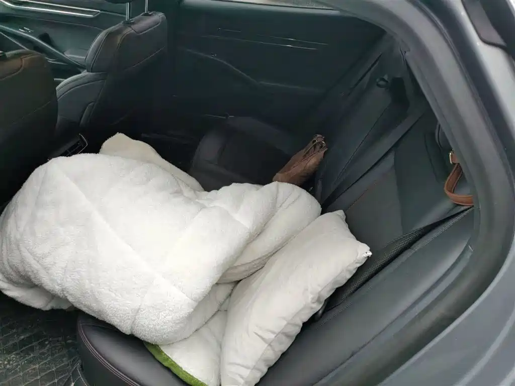 Ford Mondeo 2024 — фото 13