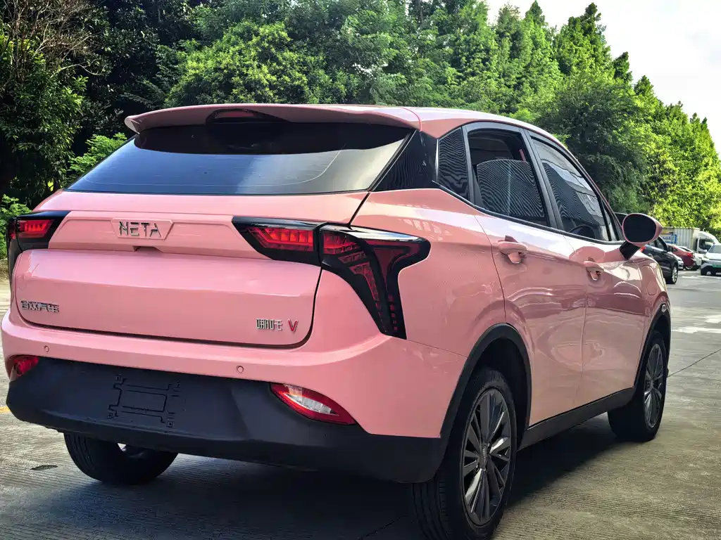 Neta V 2021 — фото 7