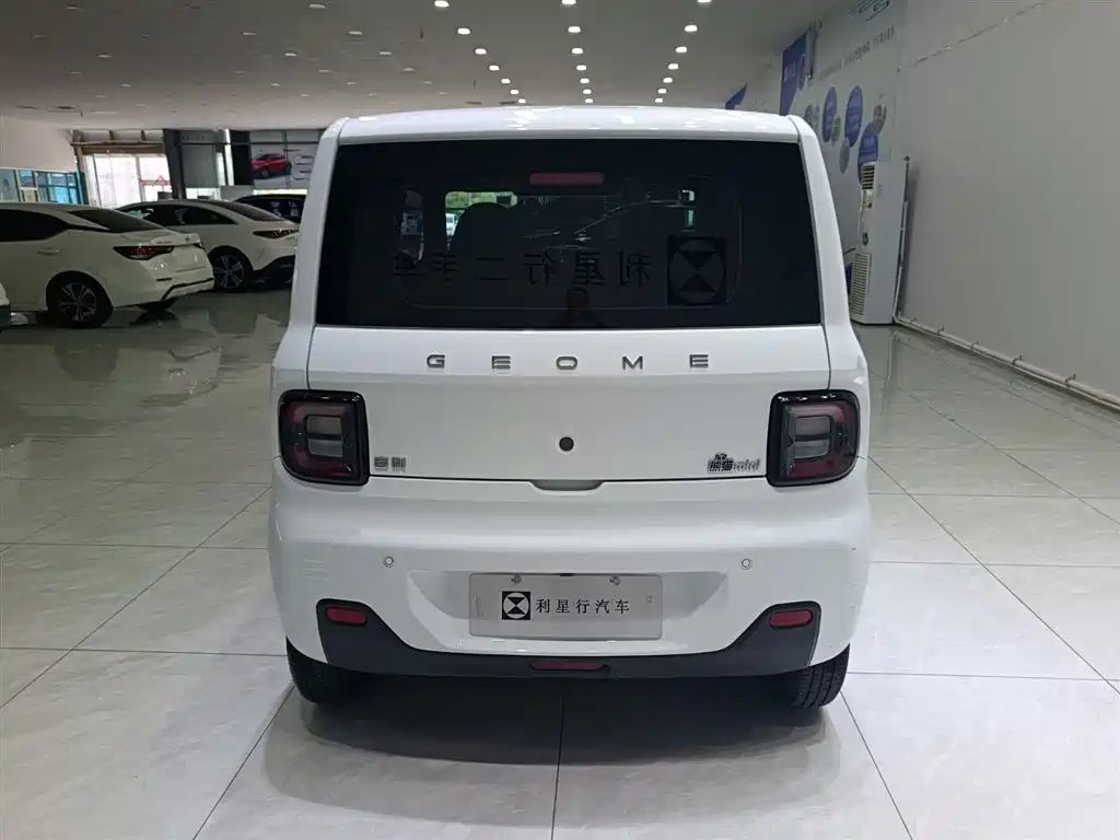 Geely Galaxy Panda 2024 — фото 10