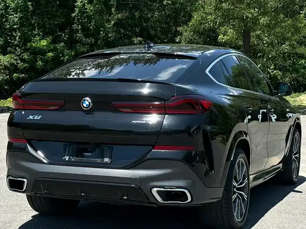 BMW X6 2021