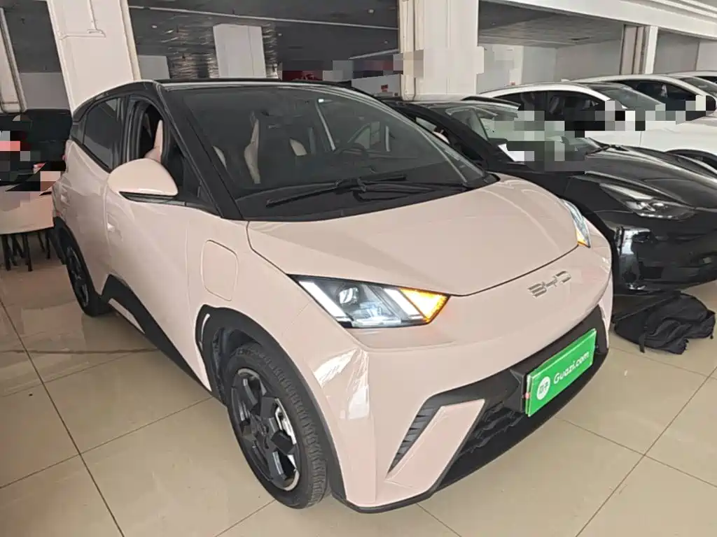 BYD Seagull 2024