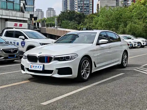 BMW 5 Series 2019