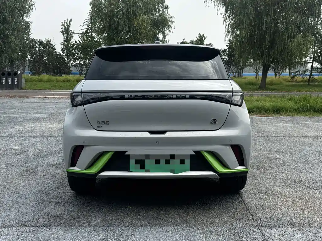 BYD Dolphin 2021