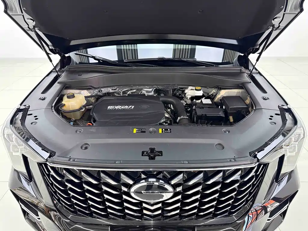GAC Motor Trumpchi GS8 2024 — фото 7