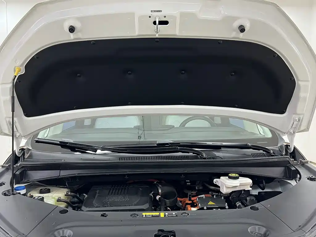 GAC Trumpchi E9 2023 — фото 13