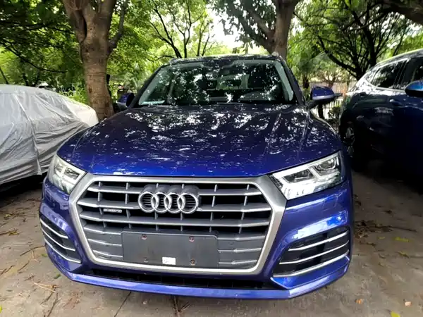 Audi Q5L 2019