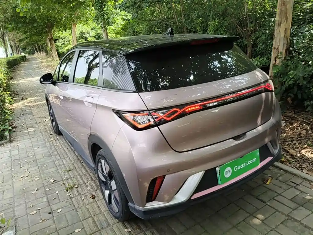 BYD Dolphin 2022