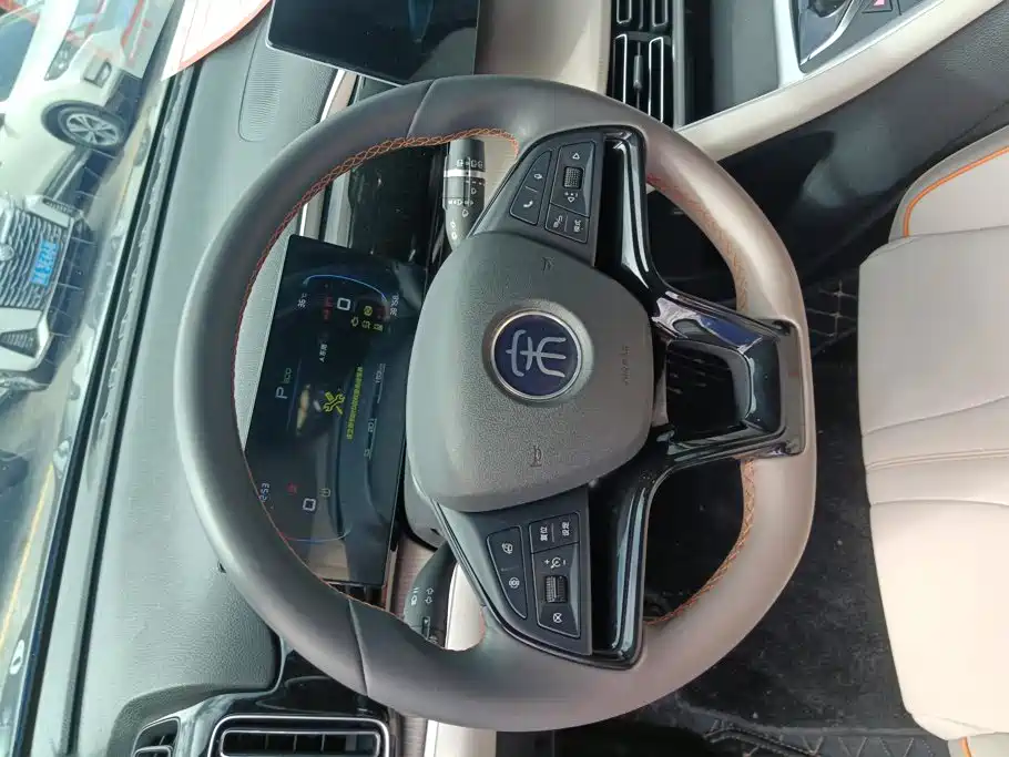 BYD Song Pro New Energy 2024 — фото 15