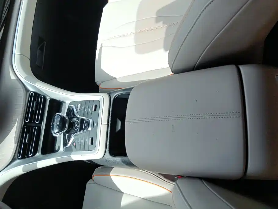 BYD Song Pro New Energy 2024 — фото 16