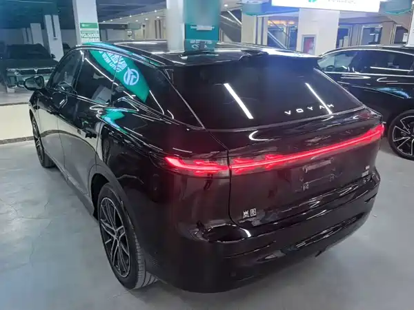 Voyah Zhiyin 2025