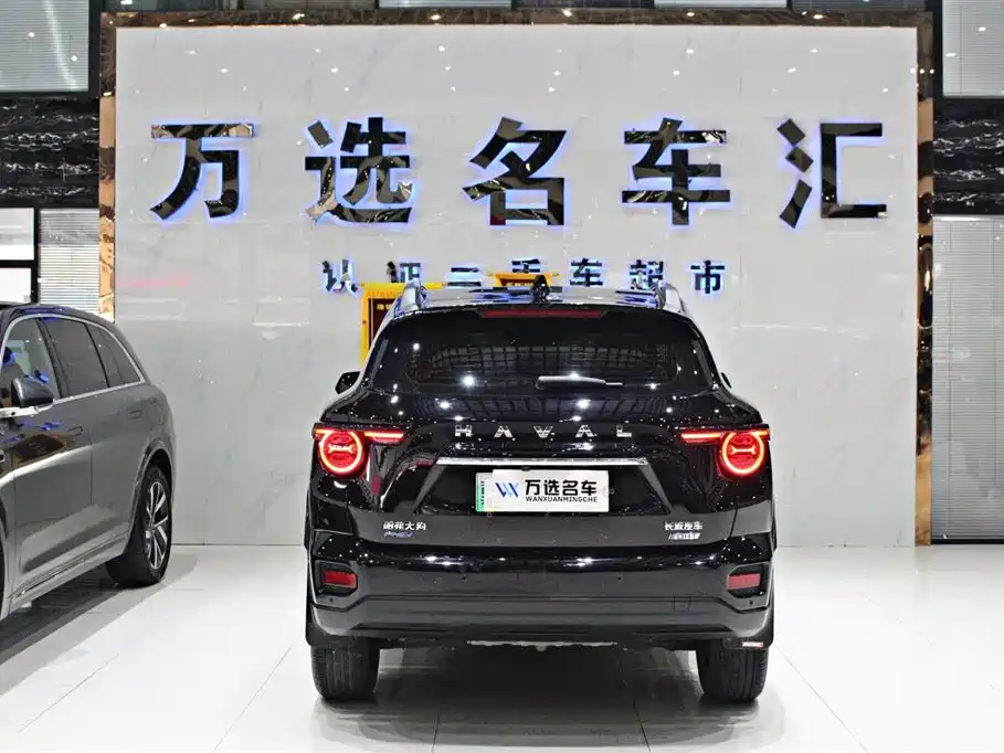 Haval Dargo PLUS EV 2024 — фото 14