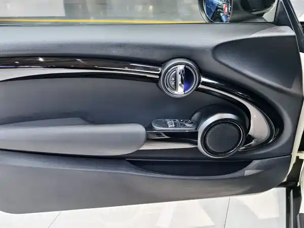 MINI 2021