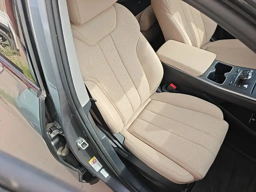 BYD Song Pro New Energy 2025 — фото 25