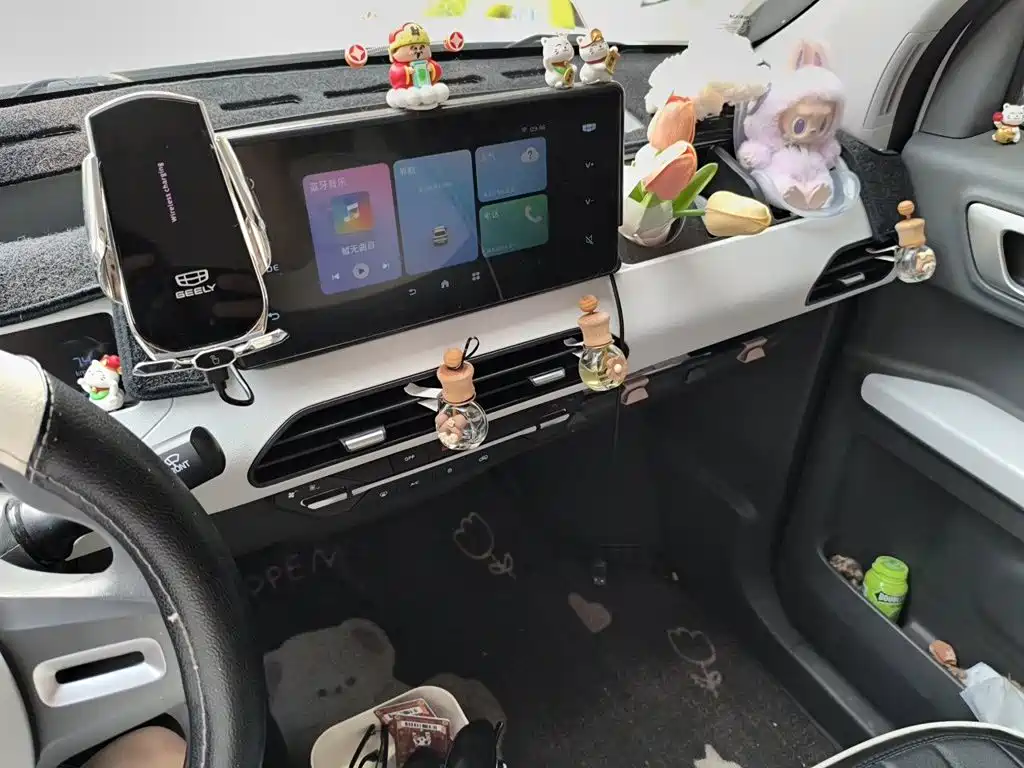 Geely Galaxy Panda 2024 — фото 9